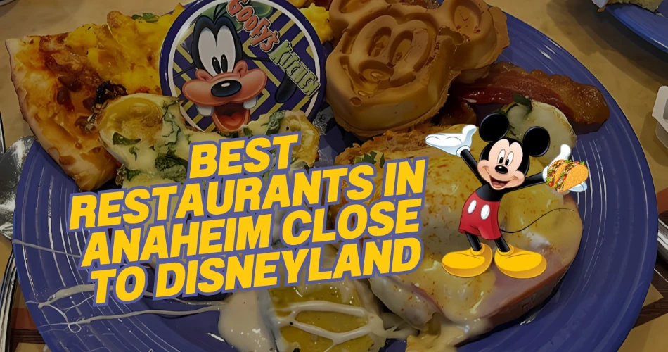 迪士尼乐园附近的最佳餐厅