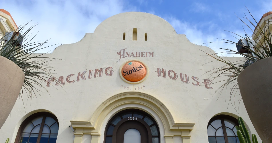 迪士尼乐园附近的最佳餐厅