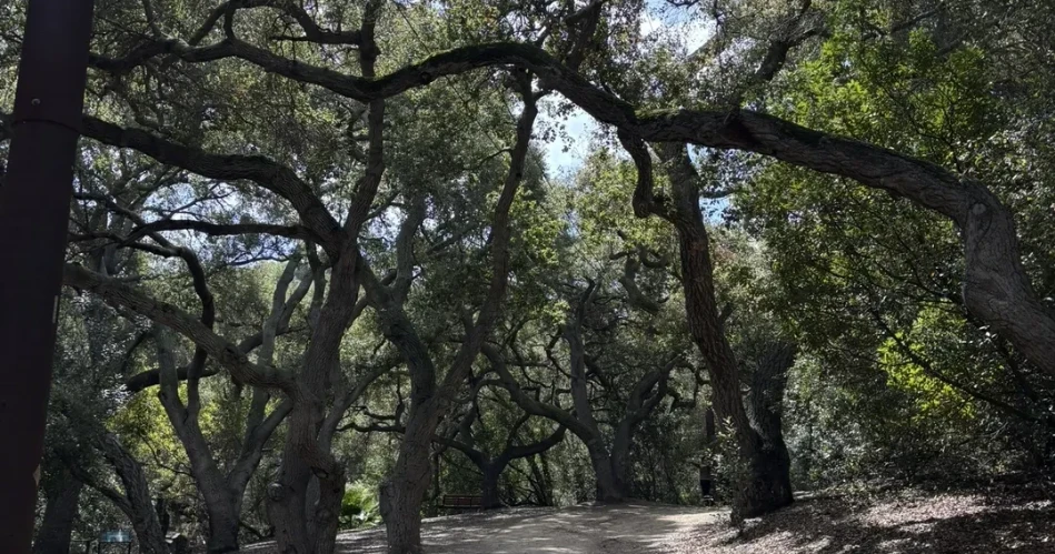 Las 10 mejores cosas para hacer en Anaheim, CA